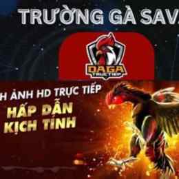 savan đá gà trực tiếp