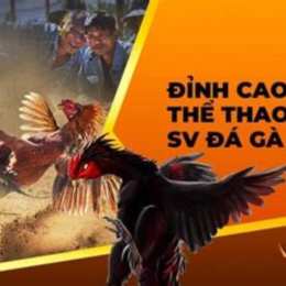 scv388 da ga viet