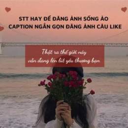 stt hay về gà đá