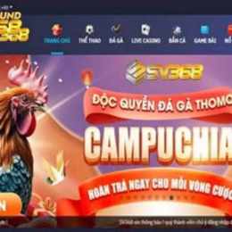 sv368 nhà cái đá gà