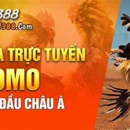 sv388 đá gà đòn