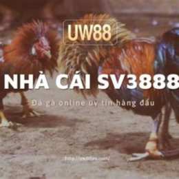 sv3888 đá gà
