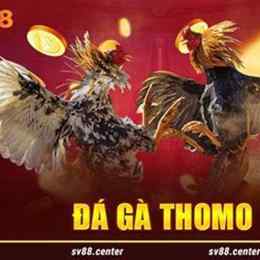 tải đá gà sv388