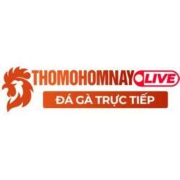 thomohomnay đá gà trực tiếp