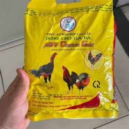 thức ăn gà đá chicken gold