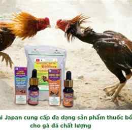 thuốc bổ cho gà đá cựa sắt