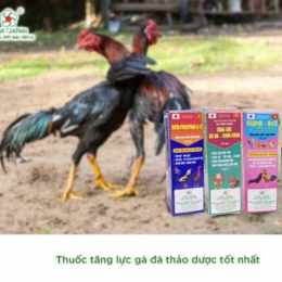 thuoc ga da kaitong