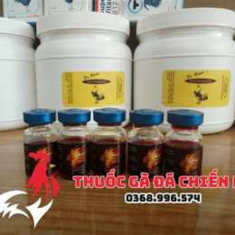 thuoc ga da quan 8
