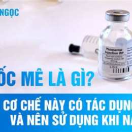 thuốc mê cho gà đá