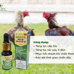thuốc tăng bo gà đá cựa sắt