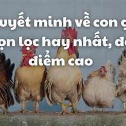 thuyết minh về ga đà lạt
