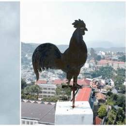 thuyết minh về nhà thờ con gà đà lạt