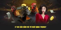 tính năng nổi bật 89bet đá gà lesson.eu.com