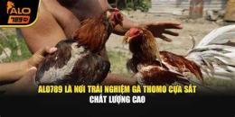 tính năng nổi bật alo789 da ga cua sat