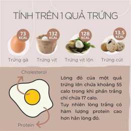 tính năng nổi bật ăn trứng gà nhiều có bị vàng da không