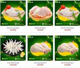 tính năng nổi bật bán da gà đông lạnh