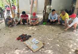 tính năng nổi bật bắt đá gà ở huyện tam bình