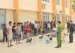 tính năng nổi bật bắt trường gà ở đa phước