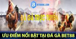 tính năng nổi bật bet88 đá gà trực tiếp