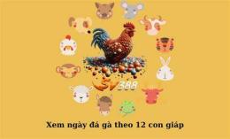 tính năng nổi bật bí kíp màu mạng xem ngày tốt để đi đá gà