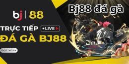 tính năng nổi bật bj 88 trang đá gà