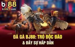 tính năng nổi bật bj88 vnd đá gà