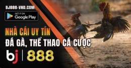 tính năng nổi bật bj888 cổng game đá gà