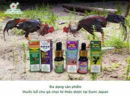 tính năng nổi bật các loại thuốc gà đá