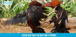 tính năng nổi bật cach lai tao ga da hay