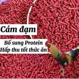 tính năng nổi bật cám đỏ cho gà đá
