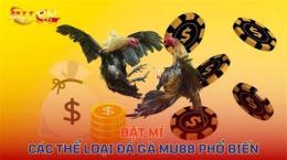 tính năng nổi bật casino888 đá gà