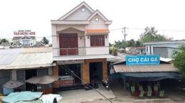 tính năng nổi bật chợ tốt gà đã bến tre