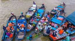 tính năng nổi bật chợ tốt gà đã cần thơ