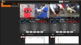 tính năng nổi bật clip đá gà casino