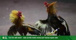 tính năng nổi bật công an bắt đá gà bắn chết người