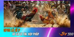 tính năng nổi bật cpblenglish đá gà