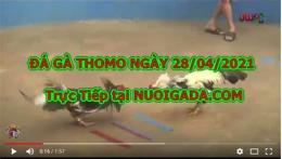 tính năng nổi bật đá gà 67 hôm nay trực tiếp