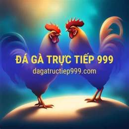 tính năng nổi bật đá gà 999 mới nhất