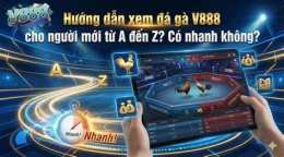 tính năng nổi bật đá gà bồ 888