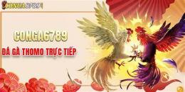 tính năng nổi bật đá gà c1 c2 c3 c4 c5 c6