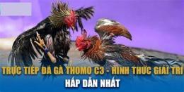 tính năng nổi bật đá gà c3 21 12