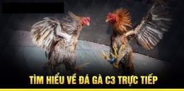 tính năng nổi bật đá gà c3 ngày 19 tháng 2