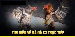 tính năng nổi bật đá gà c3 ngày 21 tháng 12