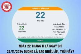 tính năng nổi bật đá gà c3 ngày 22 tháng 11