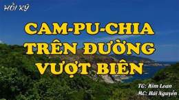 tính năng nổi bật đá gà cam phu chia