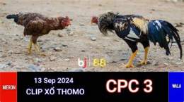 tính năng nổi bật đá gà campuchia cpc3