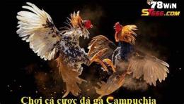 tính năng nổi bật đá gà campuchia ngày 6 tháng 6