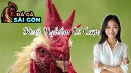 tính năng nổi bật da ga coc3