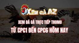 tính năng nổi bật đá gà cpc1 hôm nay