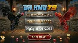 tính năng nổi bật đá gà cpc2 13/10